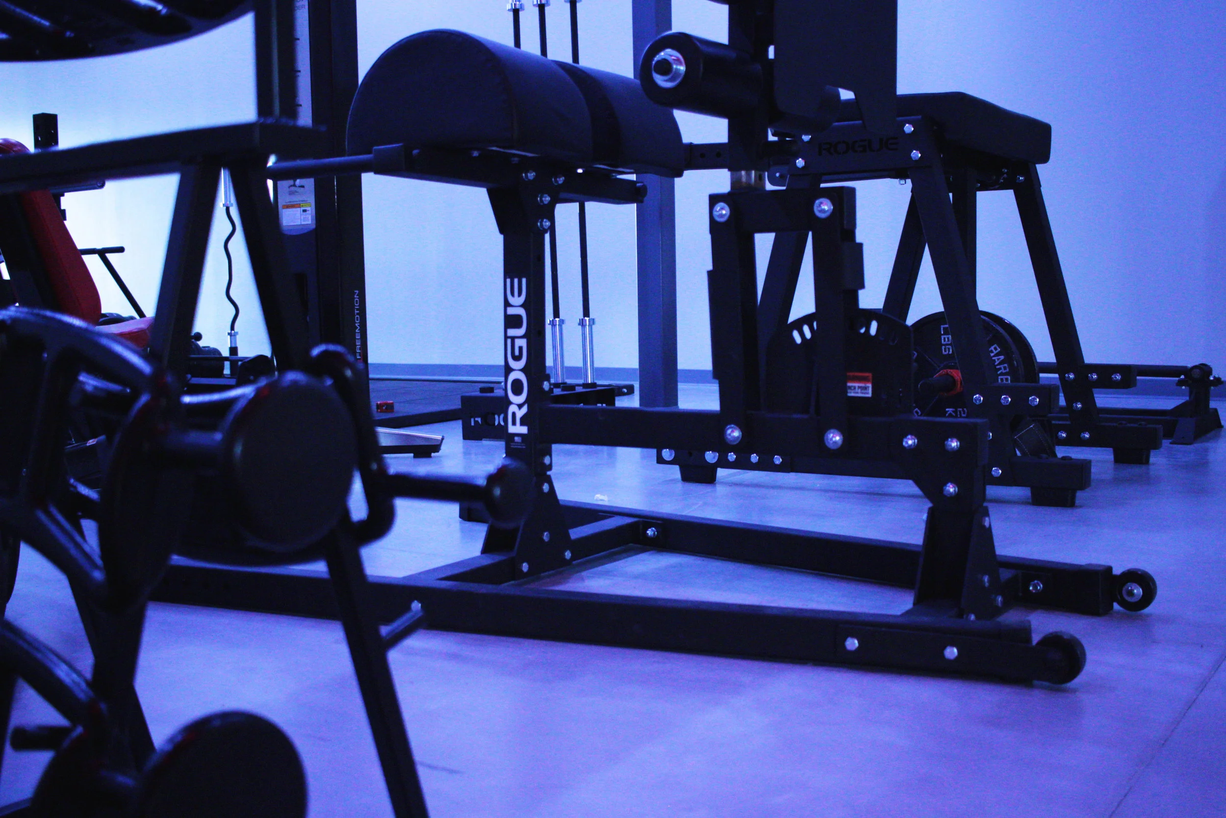 Personal Training Gym