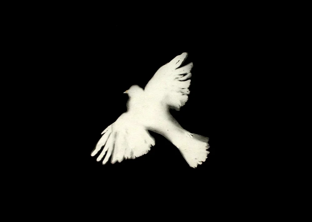 New Incarnation297mm H x 420mm WMixed Media on PaperAVAILABLE