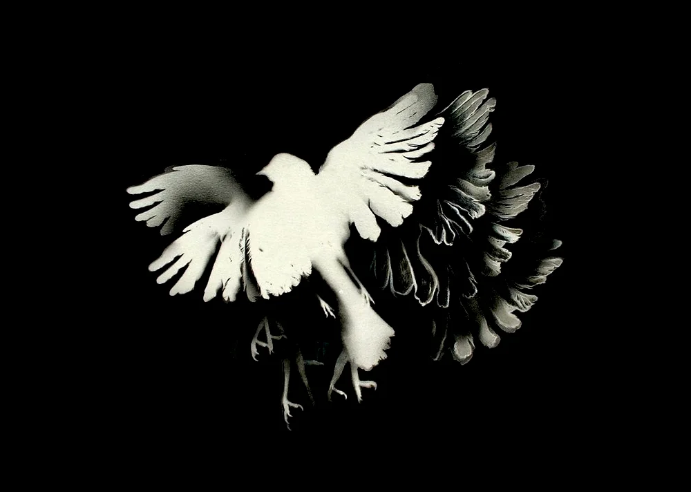 New Incarnation297mm H x 420mm WMixed Media on PaperAVAILABLE