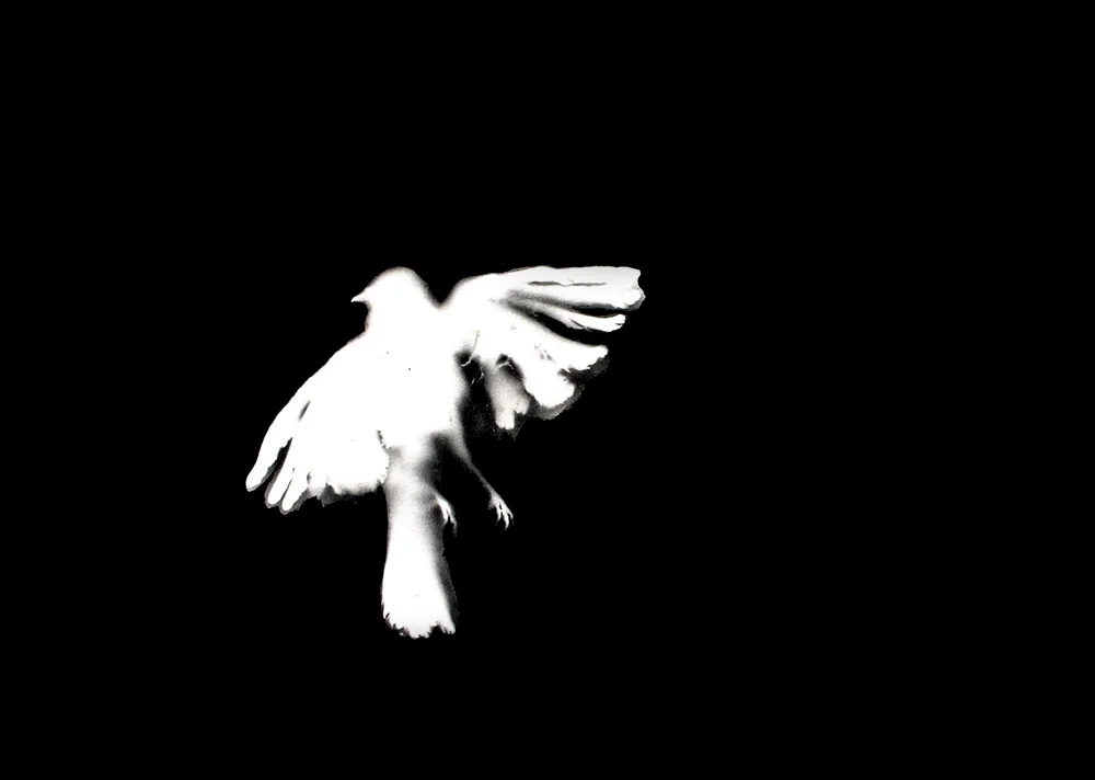 New Incarnation297mm H x 420mm WMixed Media on PaperAVAILABLE