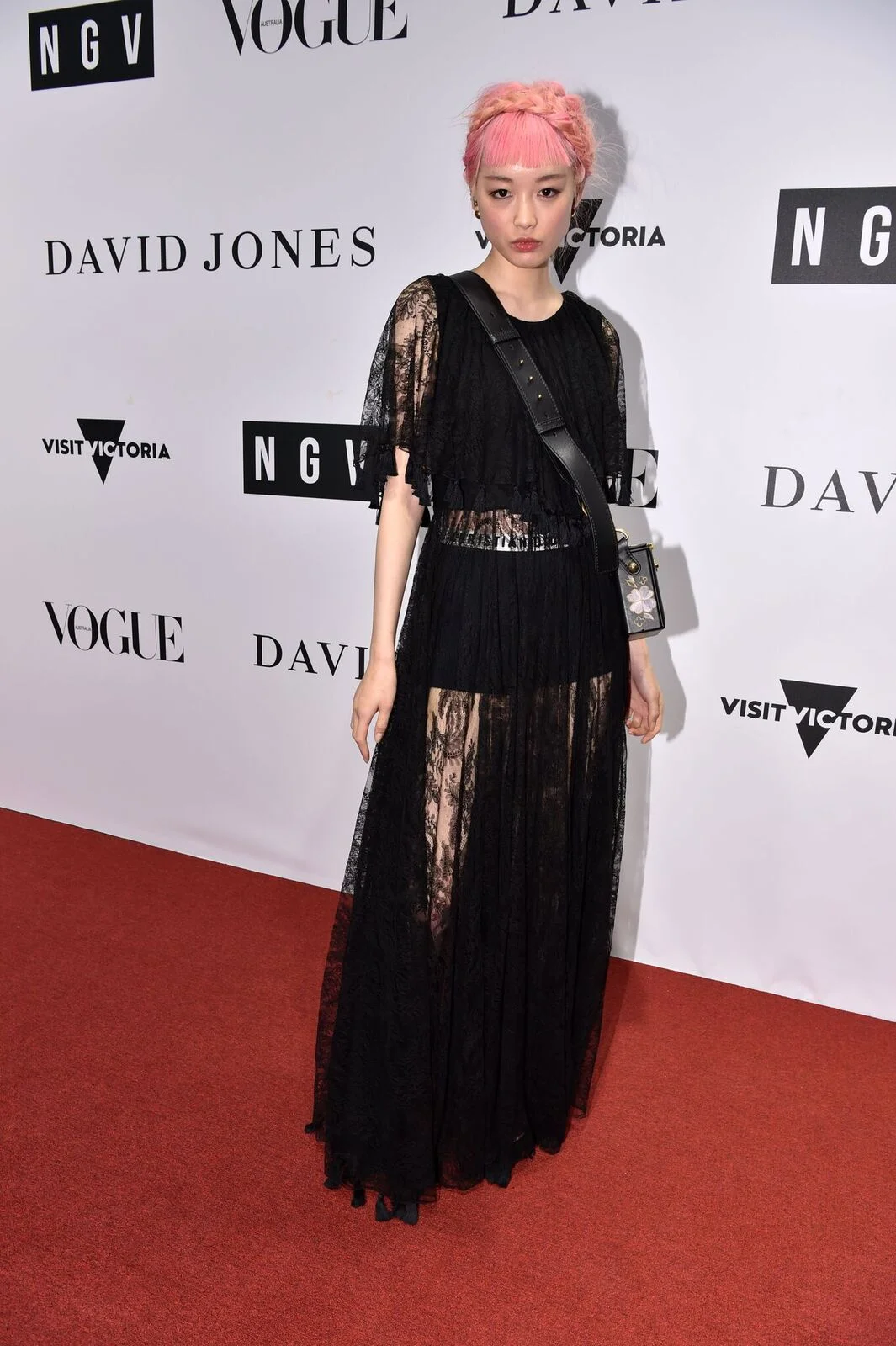 The Inaugural 2017 NGV Gala Red Carpet