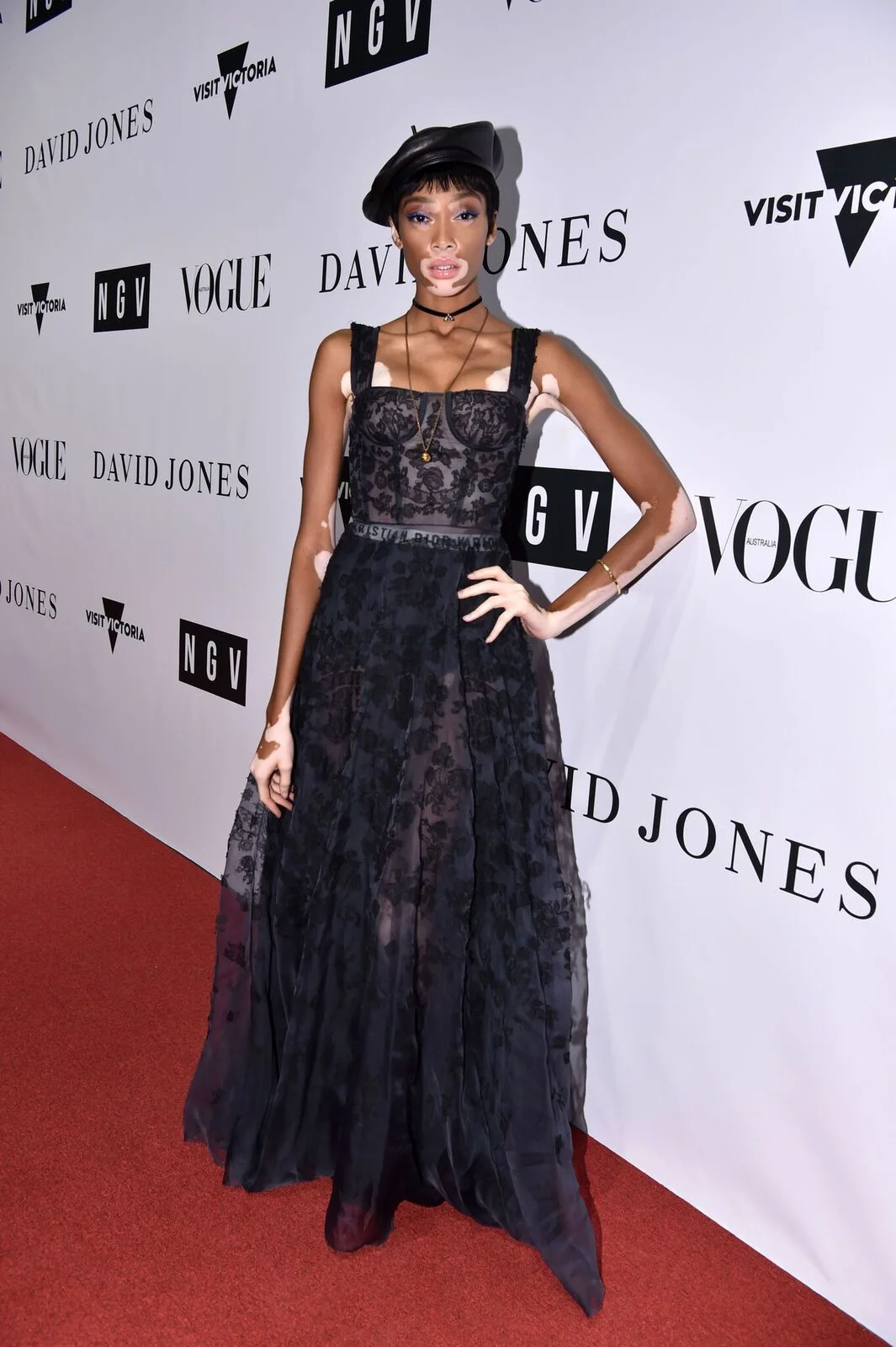 The Inaugural 2017 NGV Gala Red Carpet