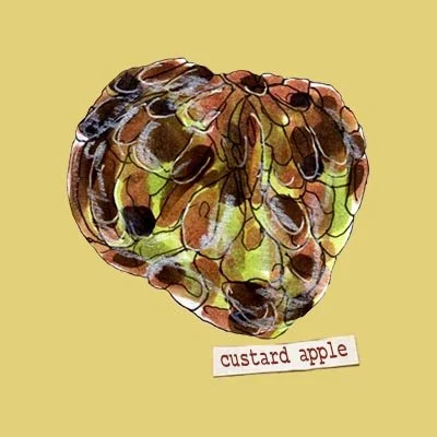 JULIET TRIED | Custard Apple