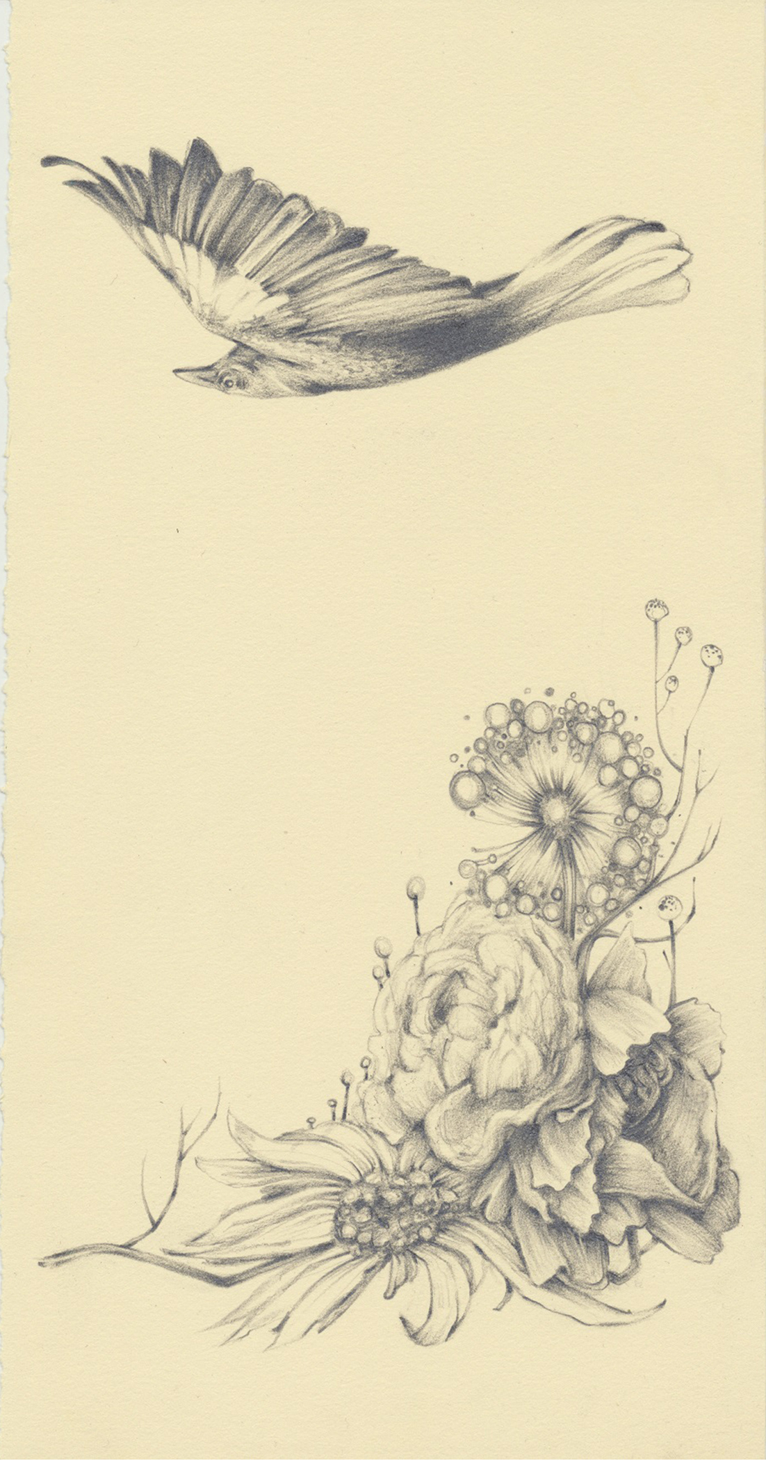 the crow flies