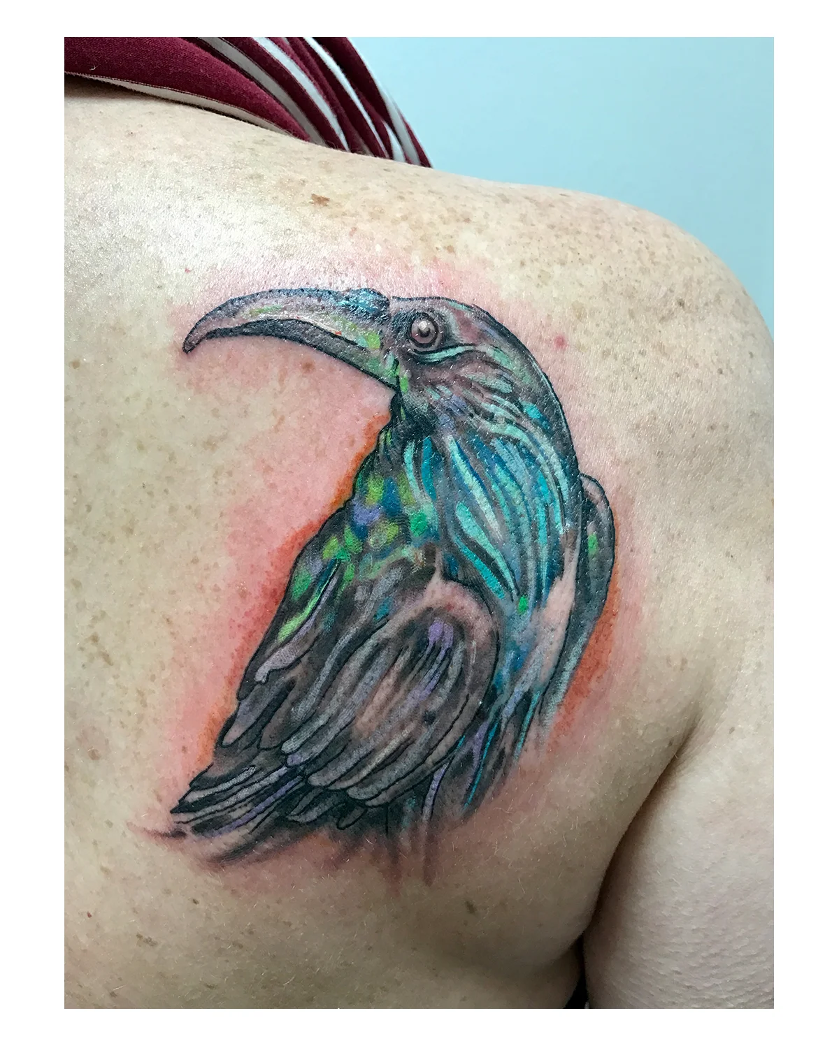new mexican raven