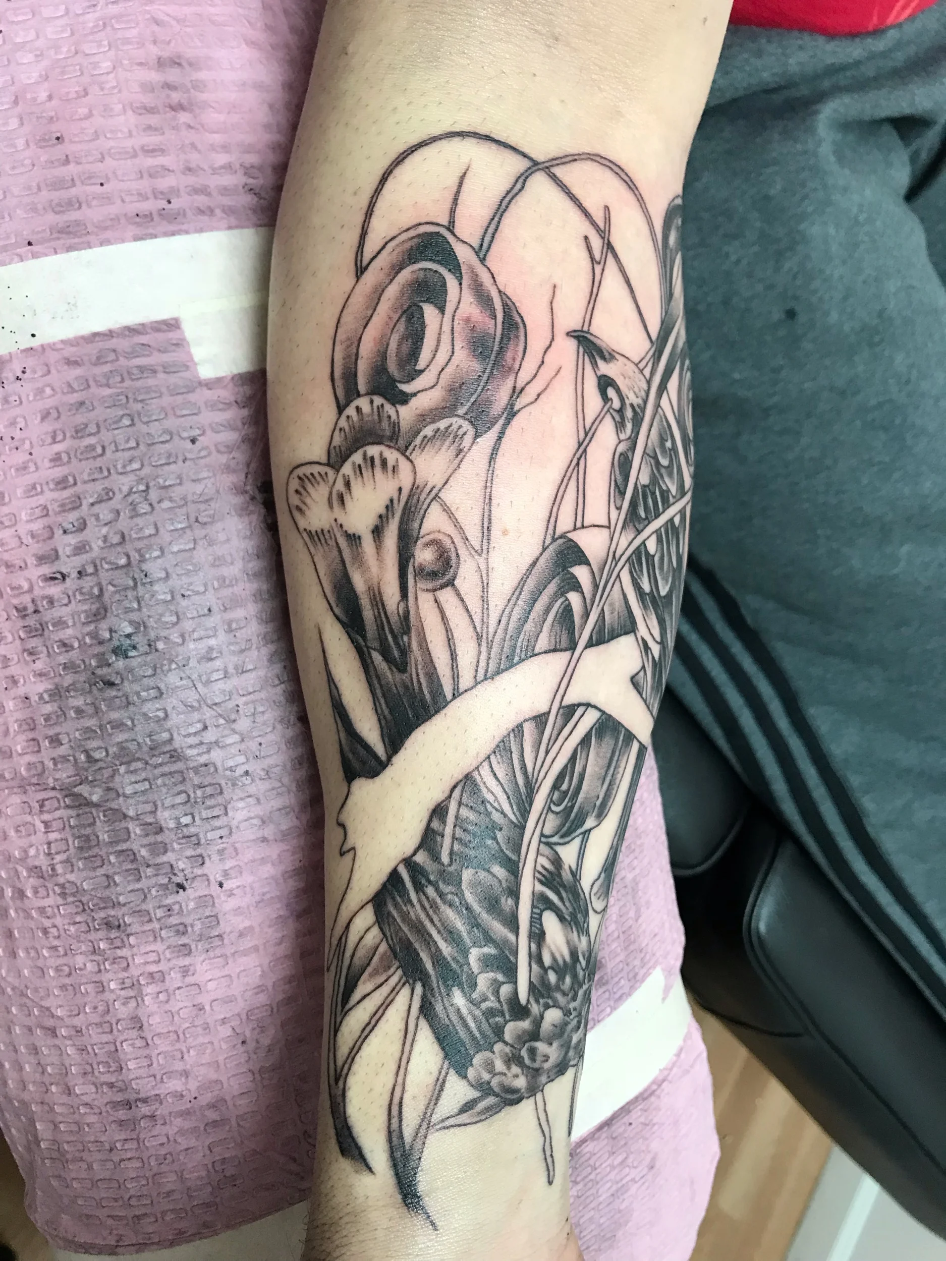 two birds- detail of a sleeve