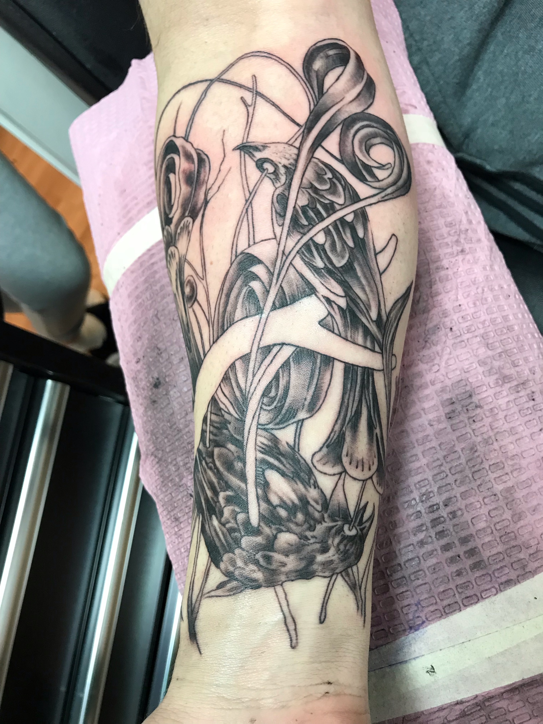 Two Birds - detail of a sleeve