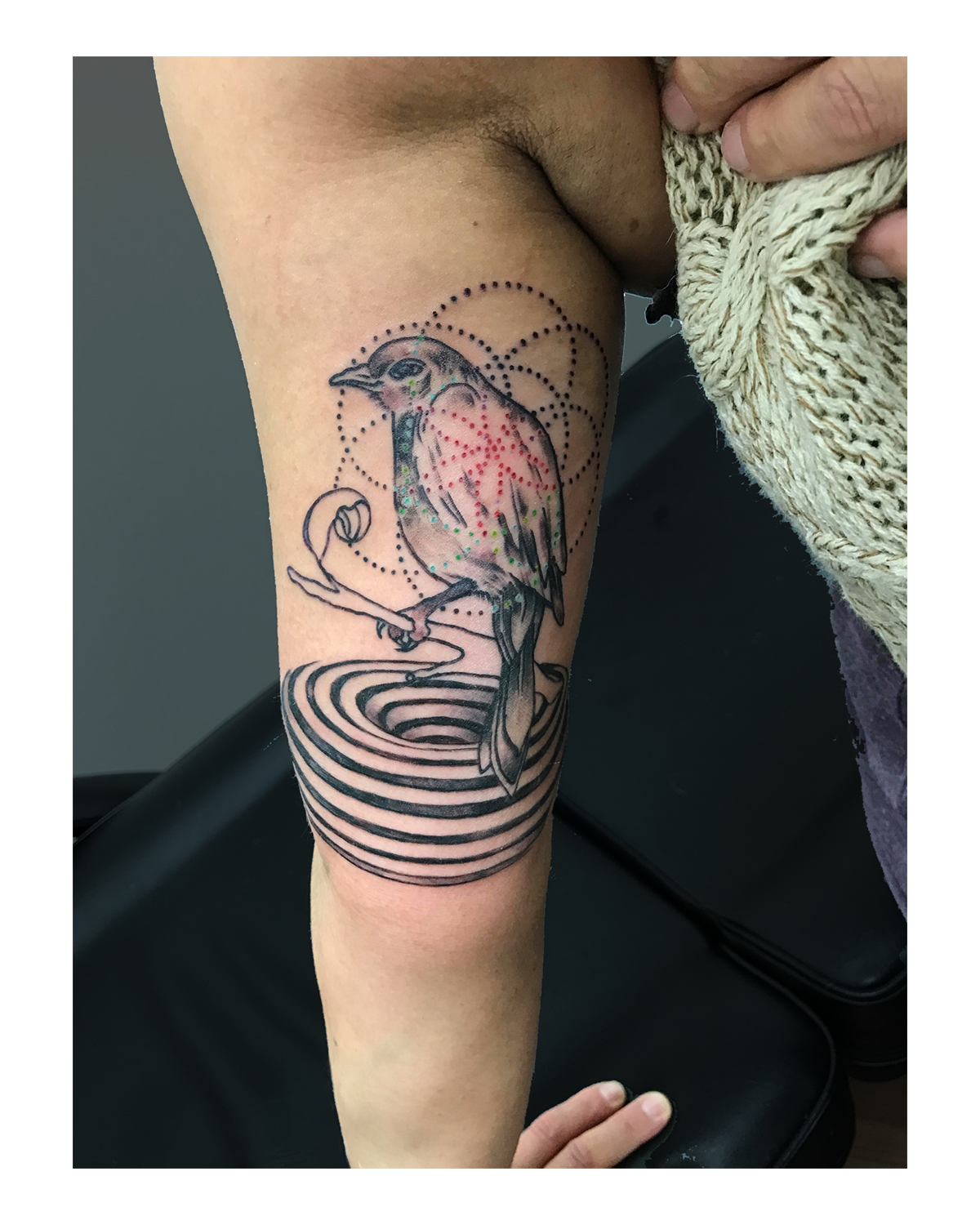 swirly bird