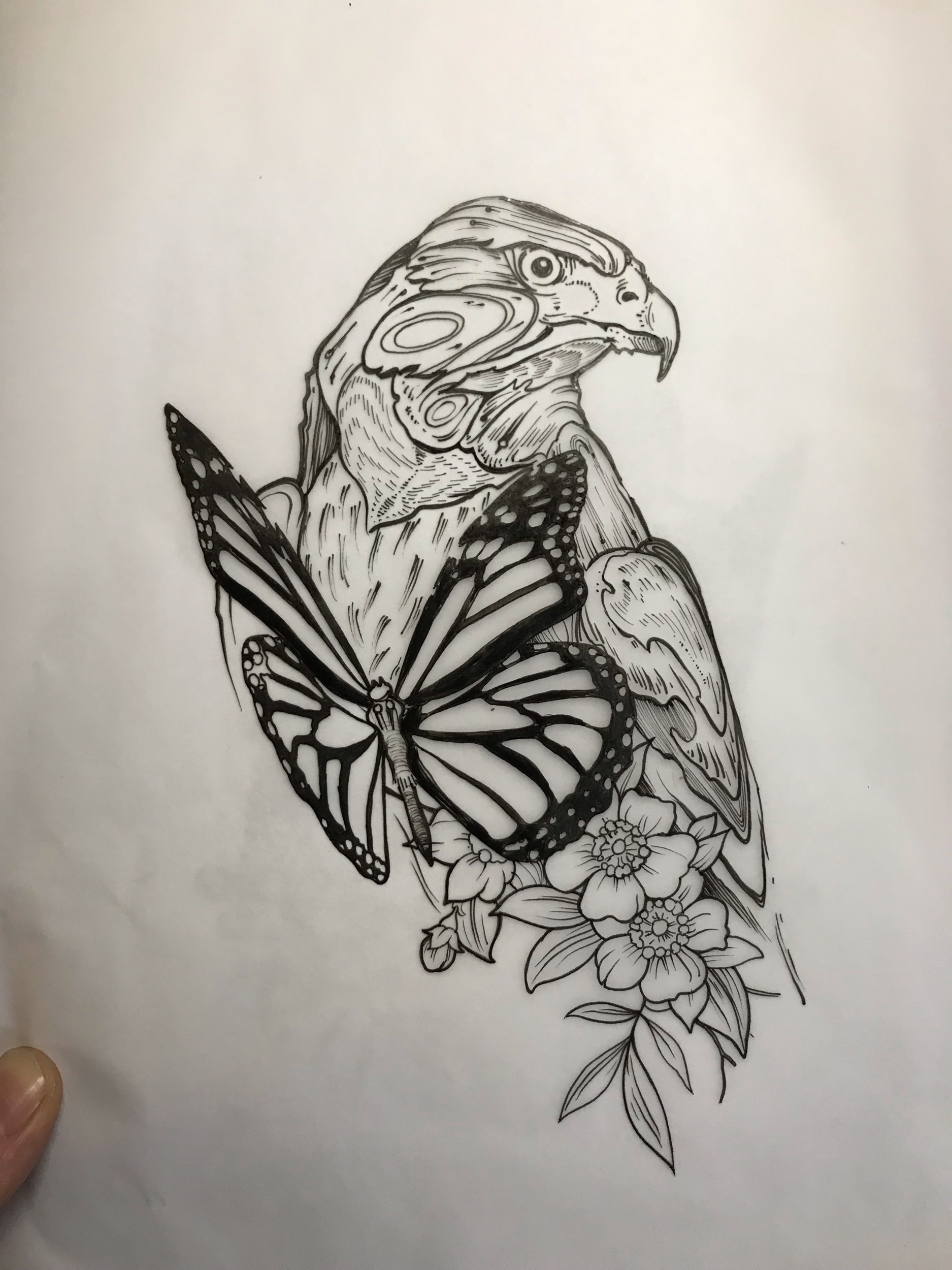 wooden hawk + monarch + wildflowers - drawing for tattoo