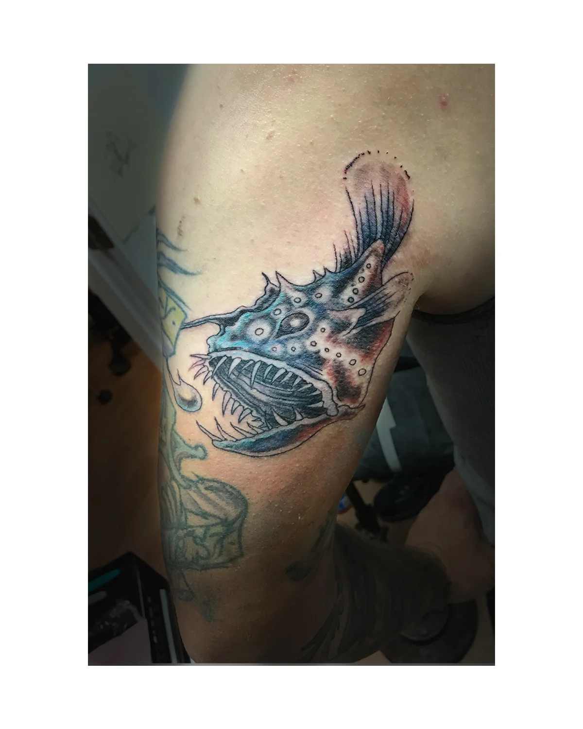angler fish