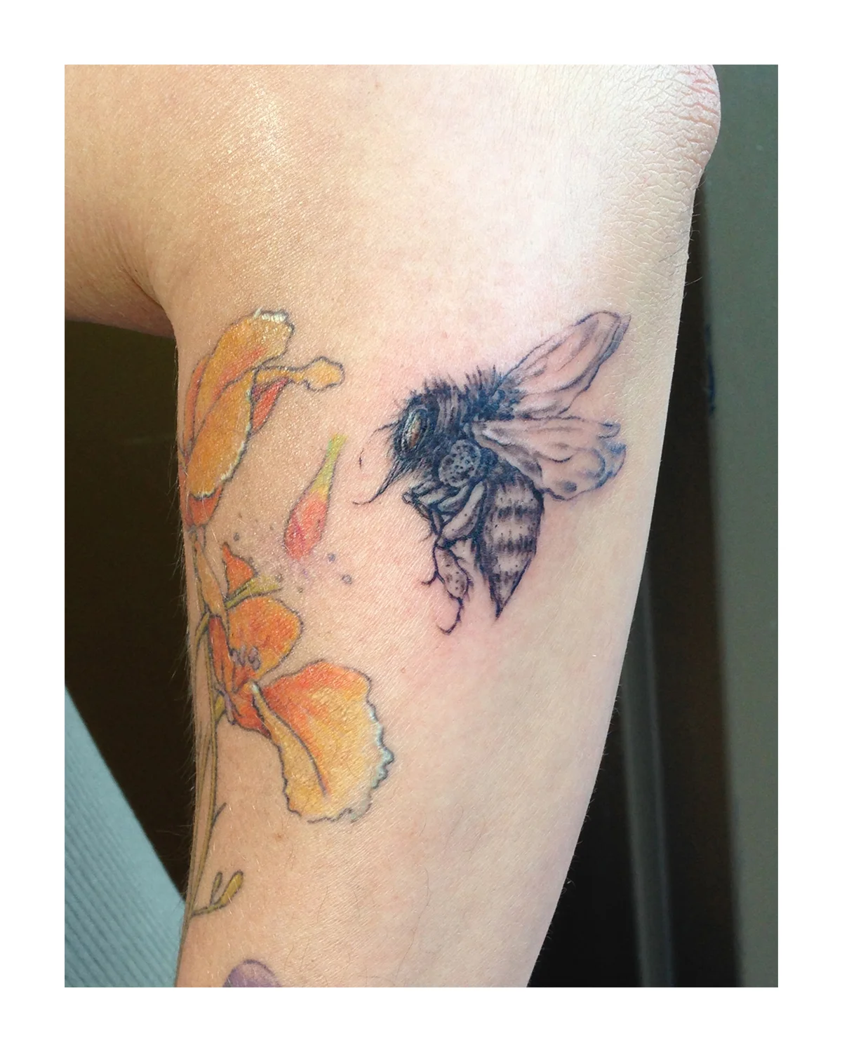black bee