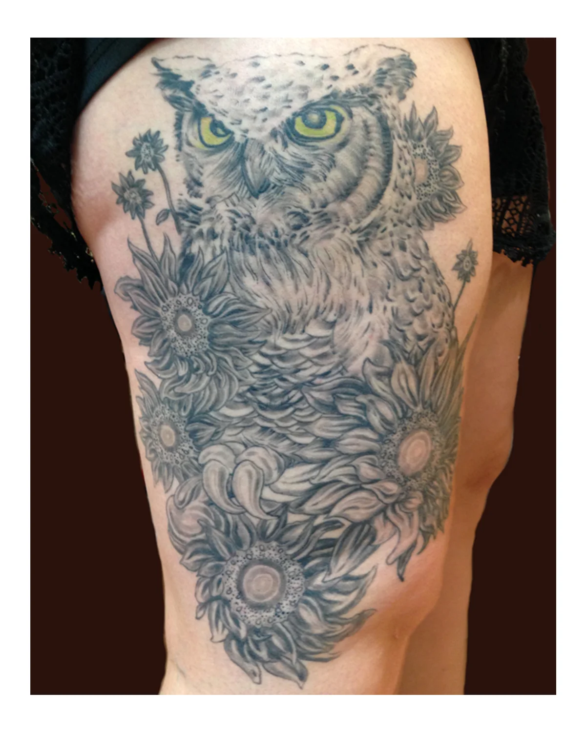 owl + sunflowers