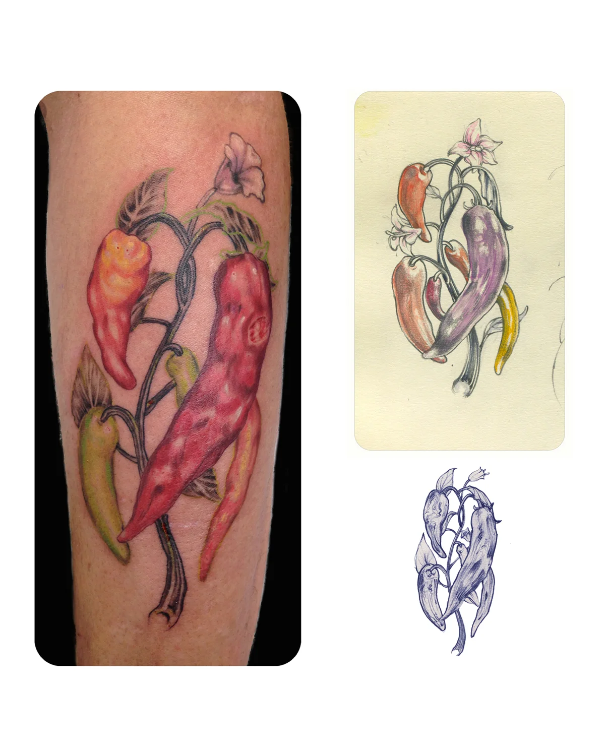 chili pepper tattoo + drawing