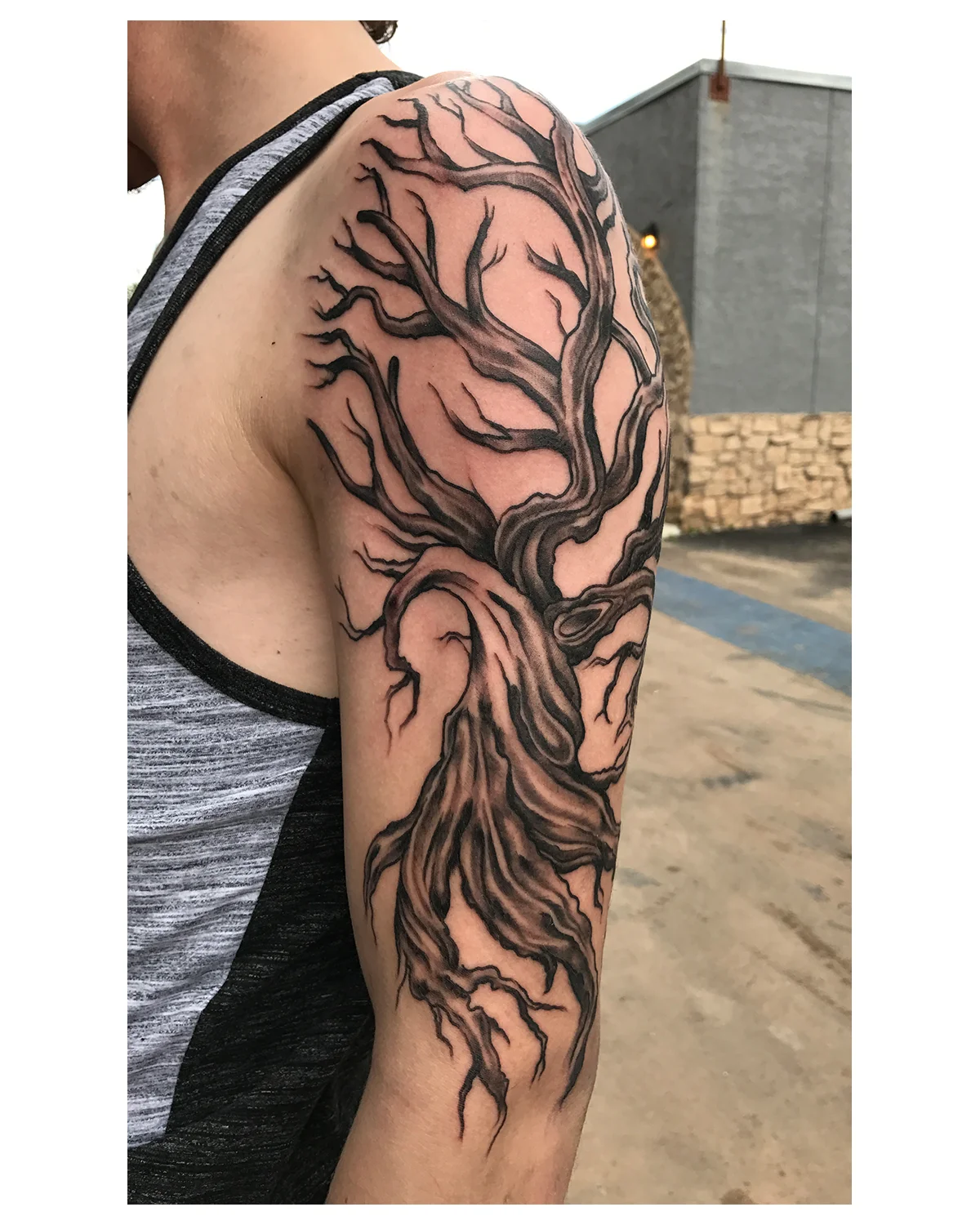 twisted tree