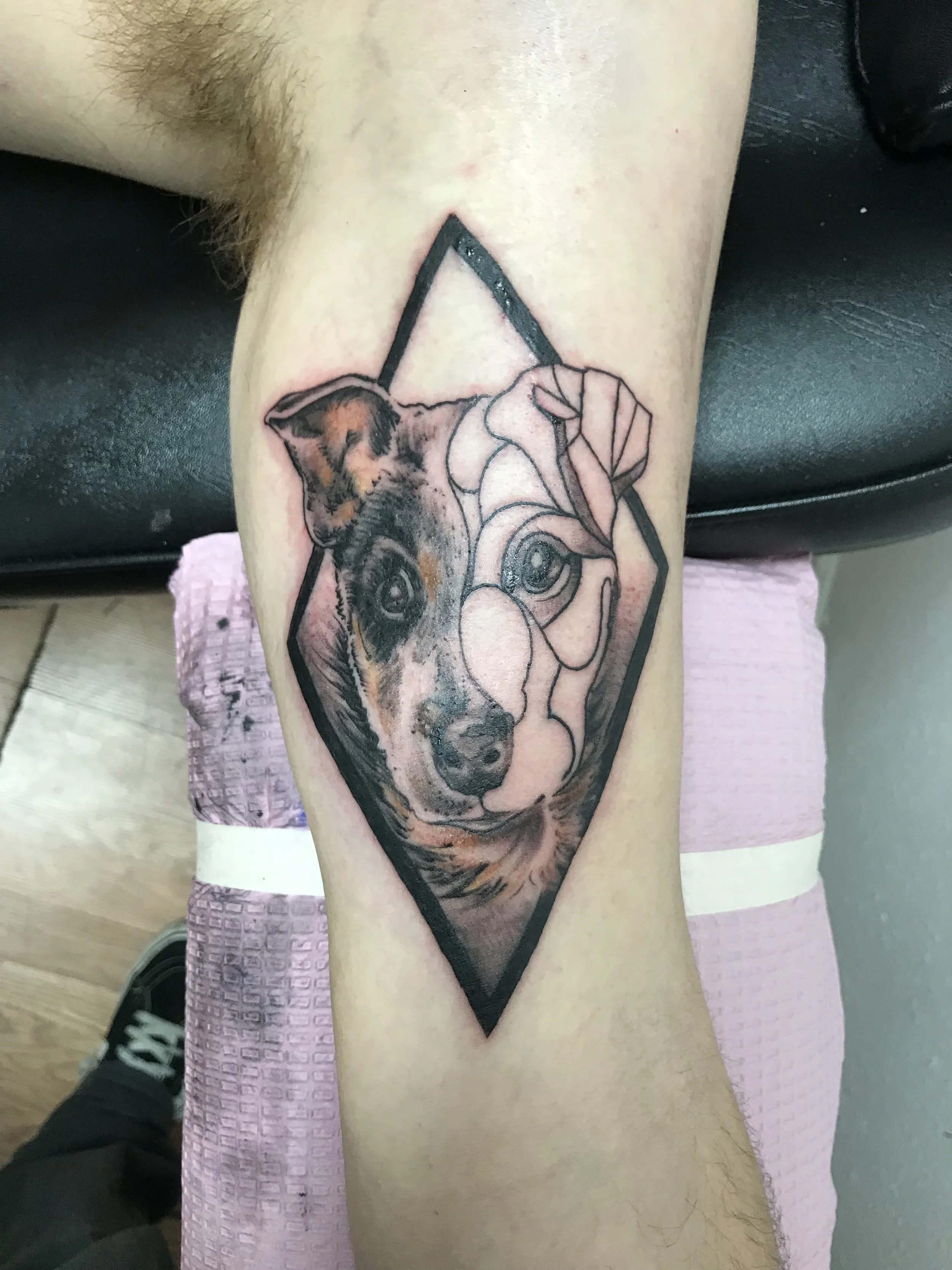 young pup