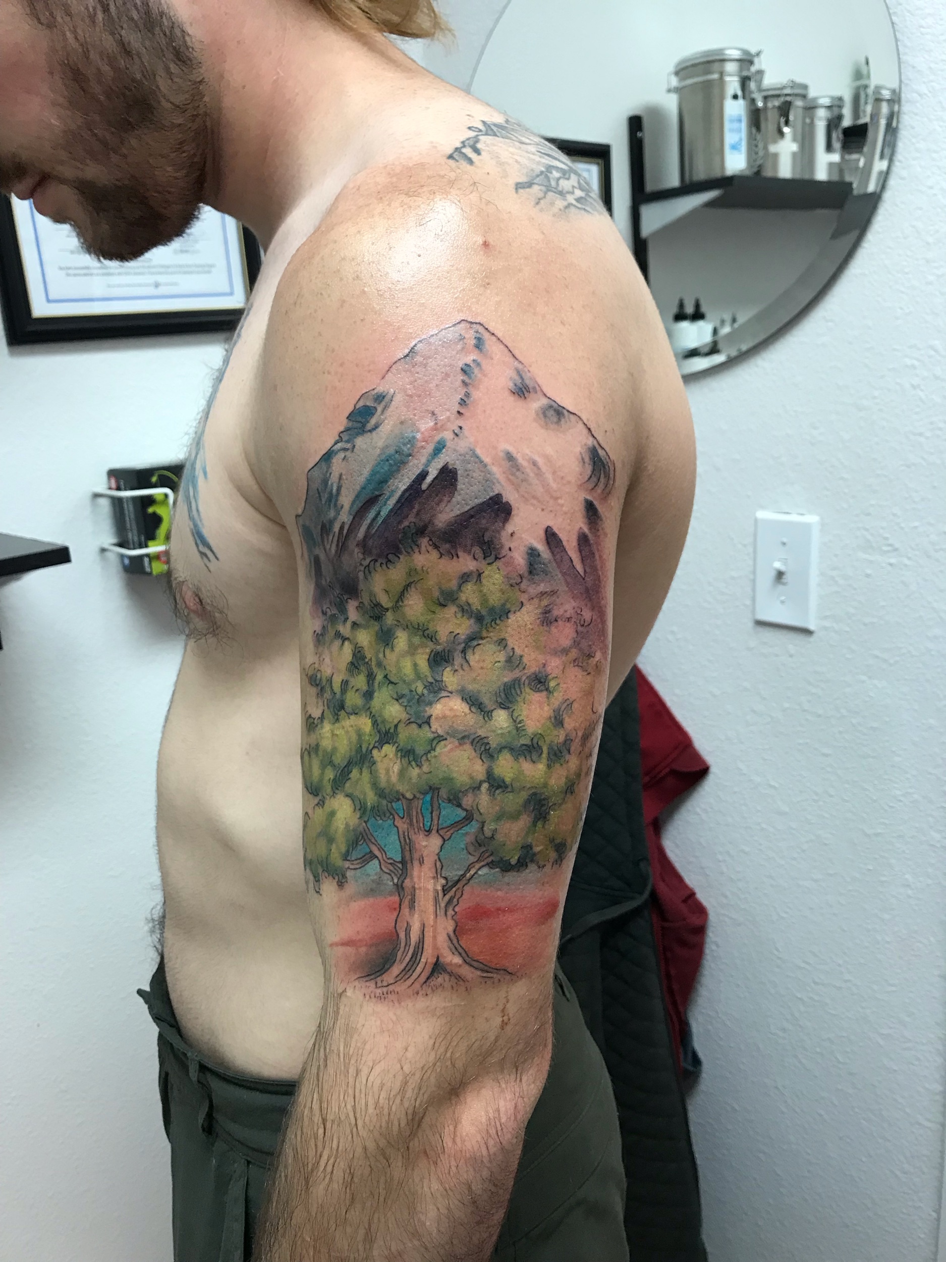 Pikes peak + oak tree