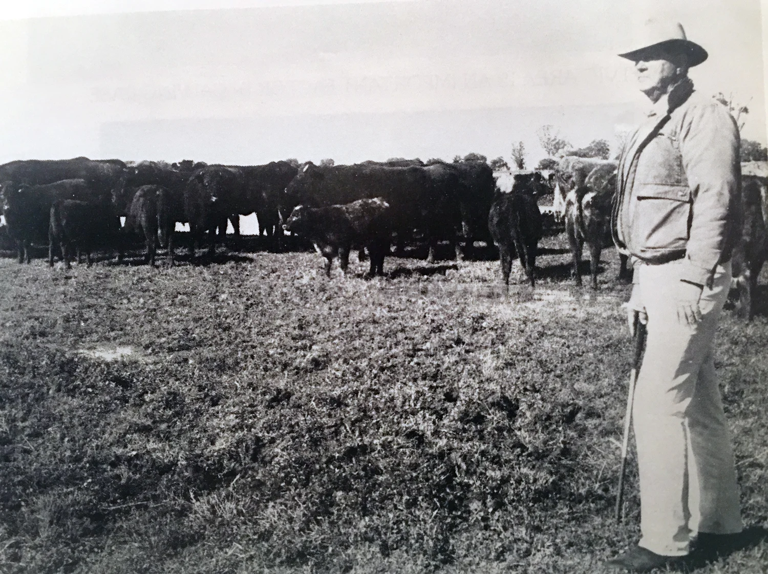 ABOVE: WALLACE MUNRO AT WEEBOLLABOLLA. TOP: AGF (ALEC) MUNRO, RF (ROLEY) MUNRO, WF (WALLY) MUNRO AND AF (SANDY) MUNRO.
