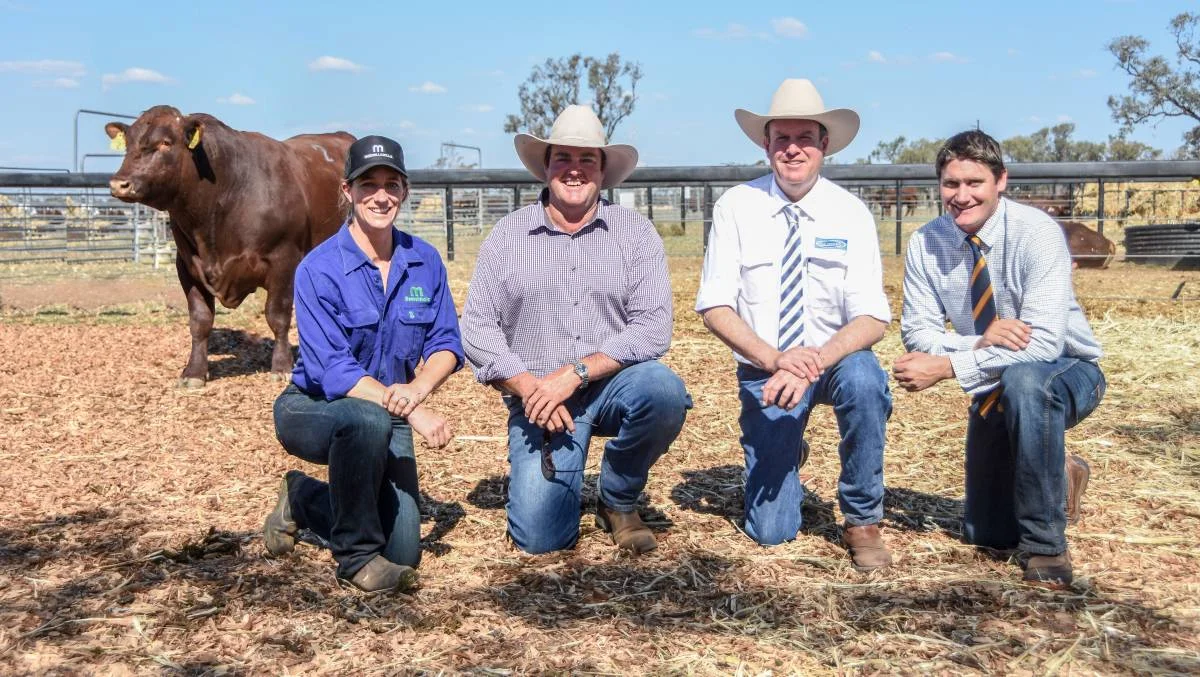 The $14,000 top price bull with vendor Jen Jeffreys, buy Spencer Morgan, The Grove, Meandarra, Queensland, Auctioneer Paul Dooley, and Bob Jamieson Agencies agent Keiran Te Velde.