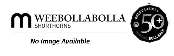 No Image Available.jpg