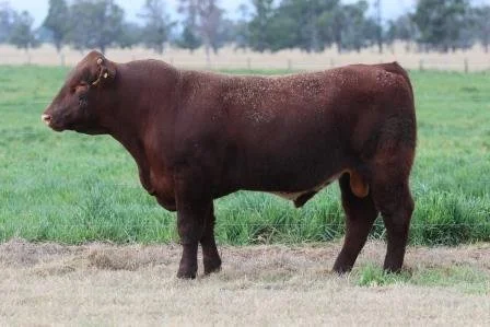 Lot 18