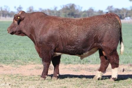 Lot 45