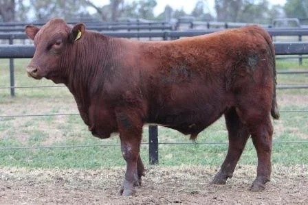 Lot 47