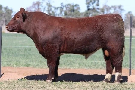 Lot 38