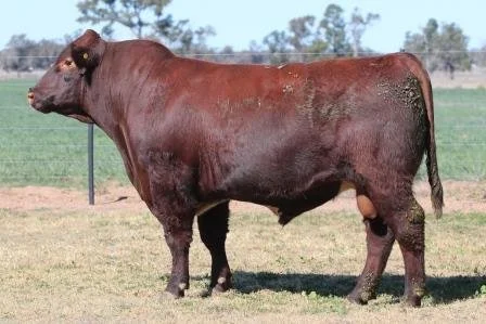 Lot 30