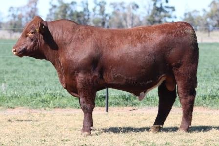 Lot 24