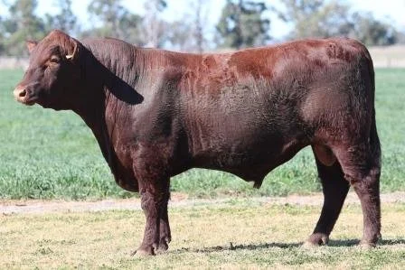 Lot 23