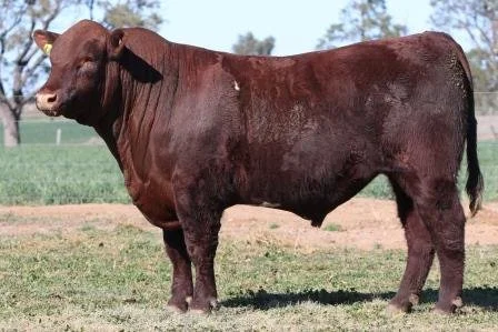 Lot 22