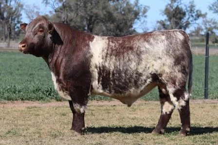 Lot 10
