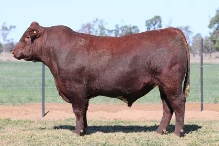Lot 2