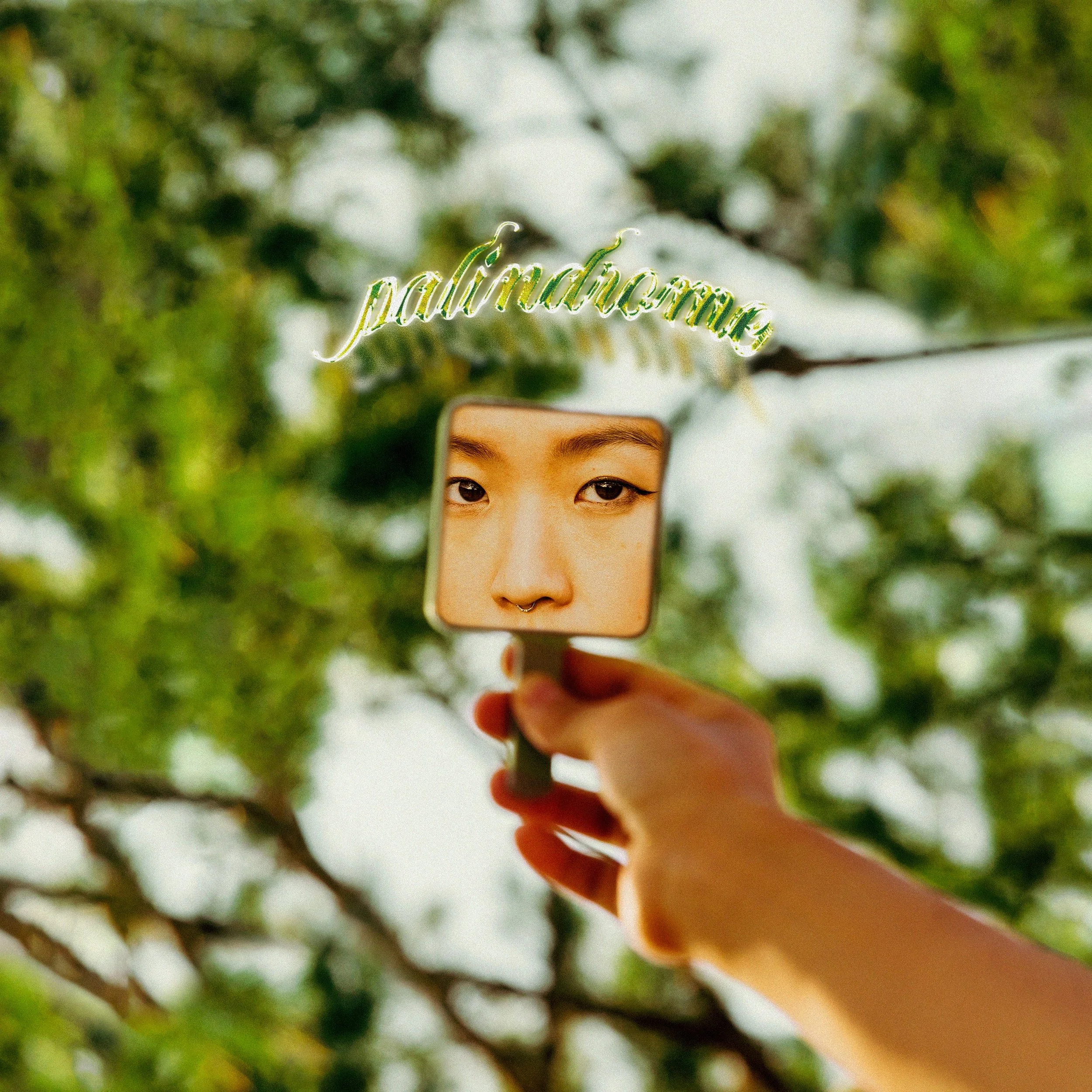 Palindrome cover.JPG