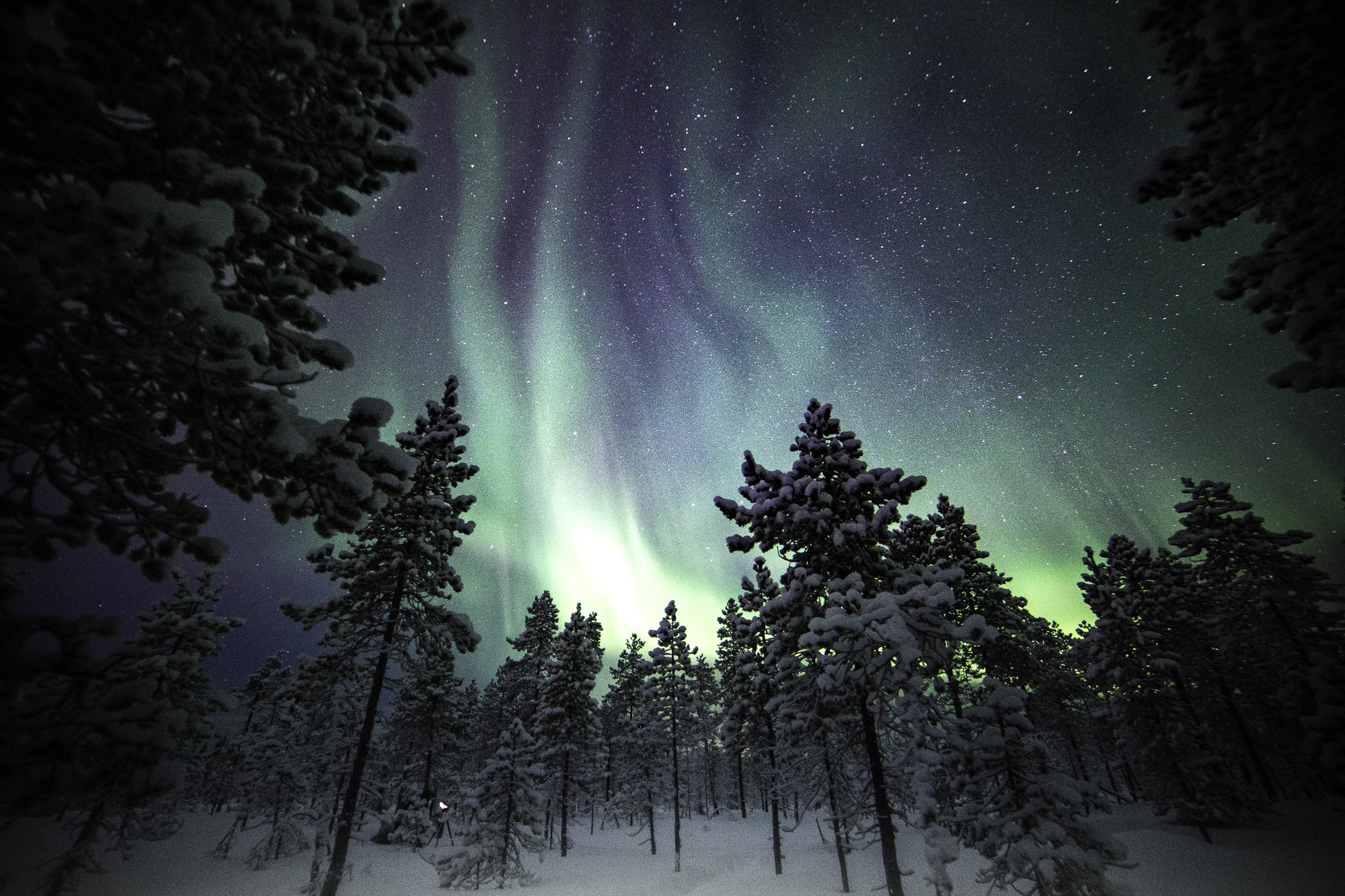 auroraborealis-12.jpg