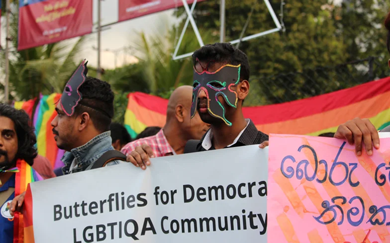 butterflies-header.jpg