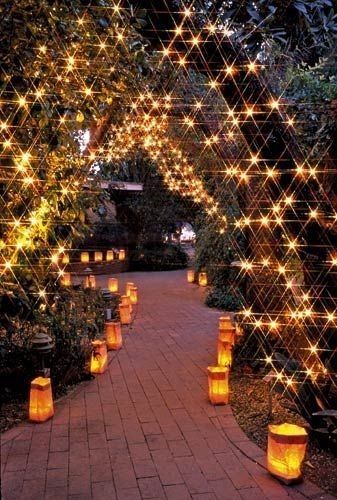 garden lights.jpg