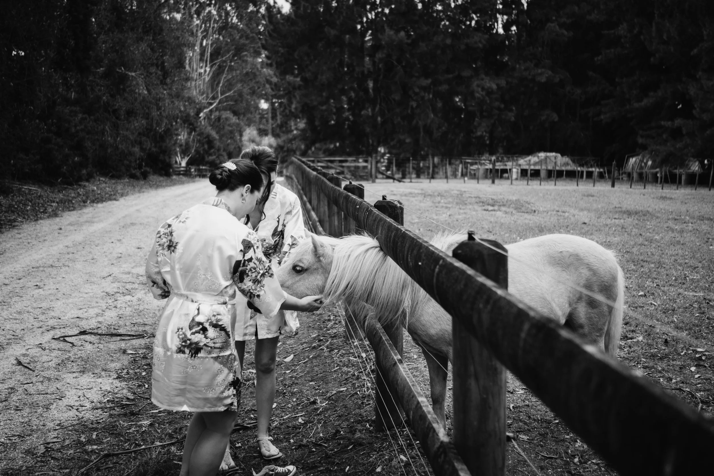 NATE + LANA-62.jpg