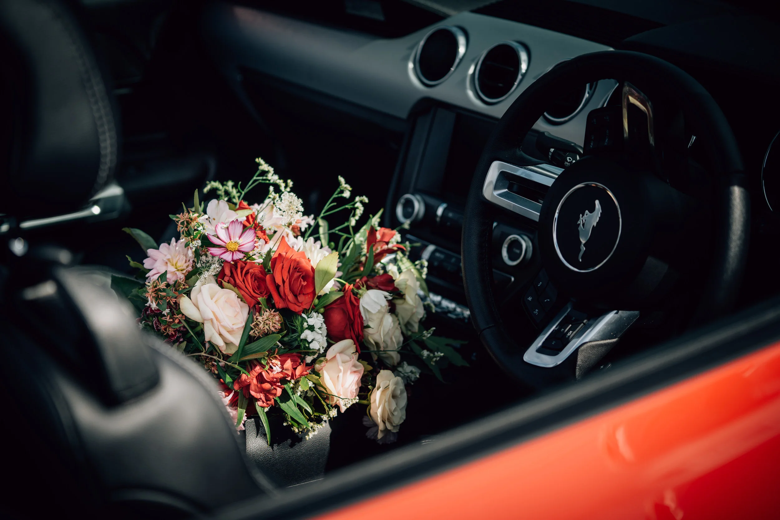 NATE + LANA-7.jpg