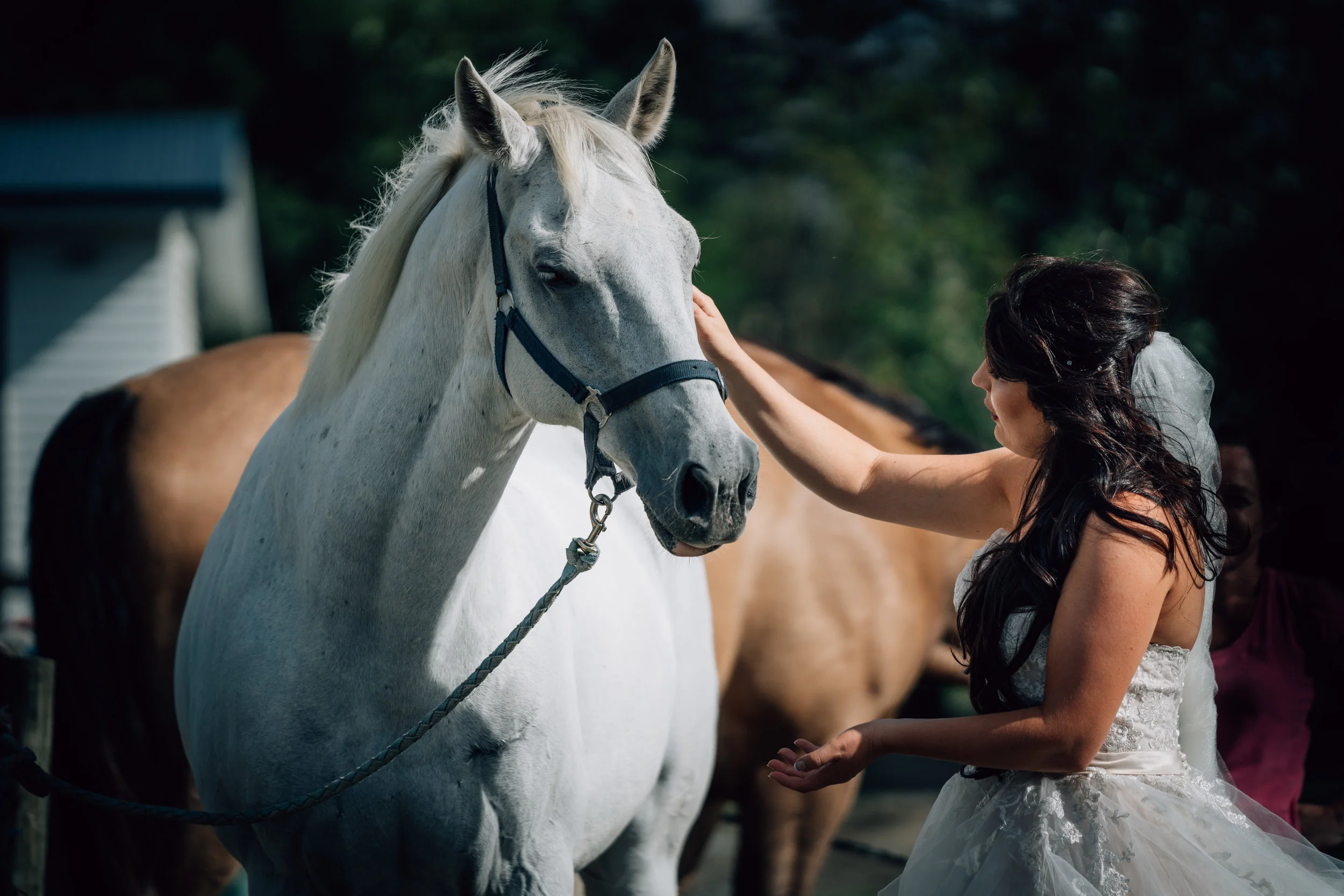 NATE + LANA-6.jpg