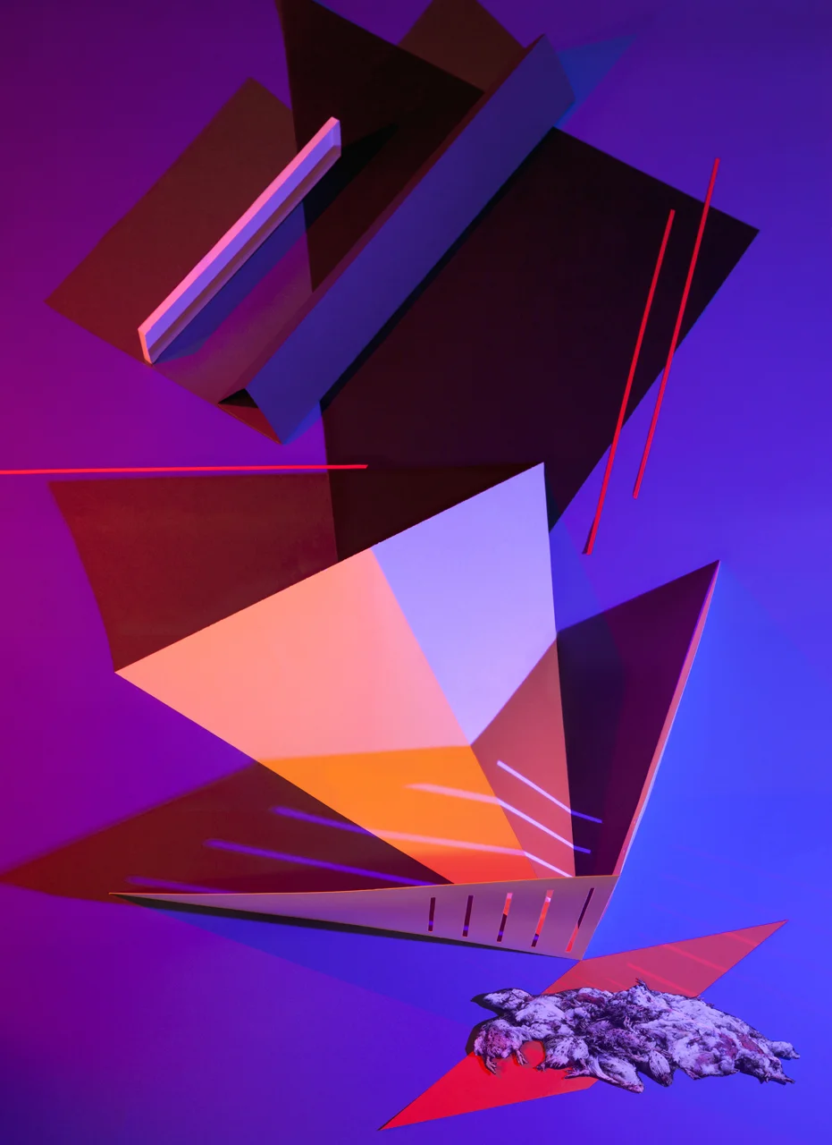 2011, pigment print on Dibond, 55x70 inches