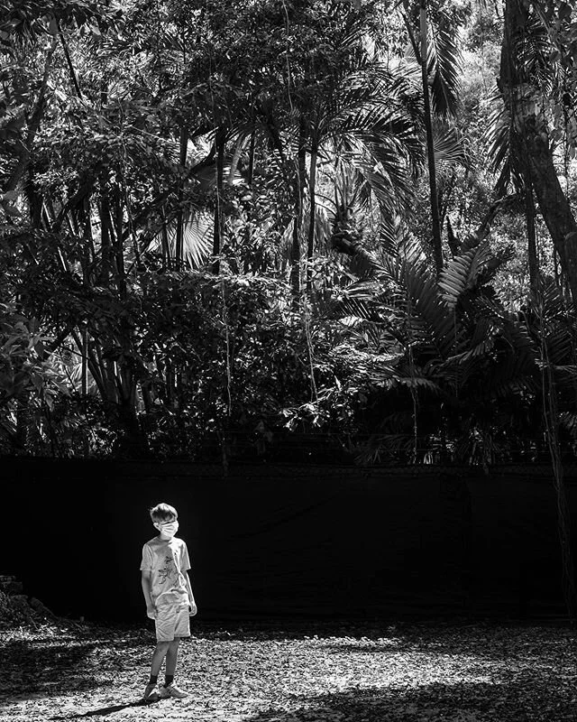 Location work companion. 4th grader.