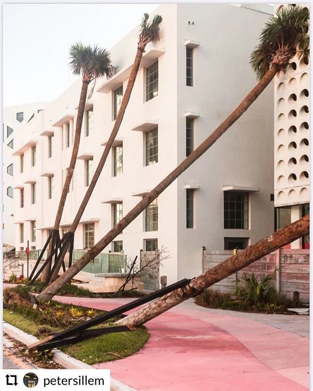 New representation by Galerie&mdash;Peter&mdash;Sillem and my first solo show in Germany opening this Saturday, June 27! 10am-5pm Link in bio. #Frankfurt .
.
.
.

Anastasia Samoylova moved to Miami in 2016, a city directly threatened by rising sea le