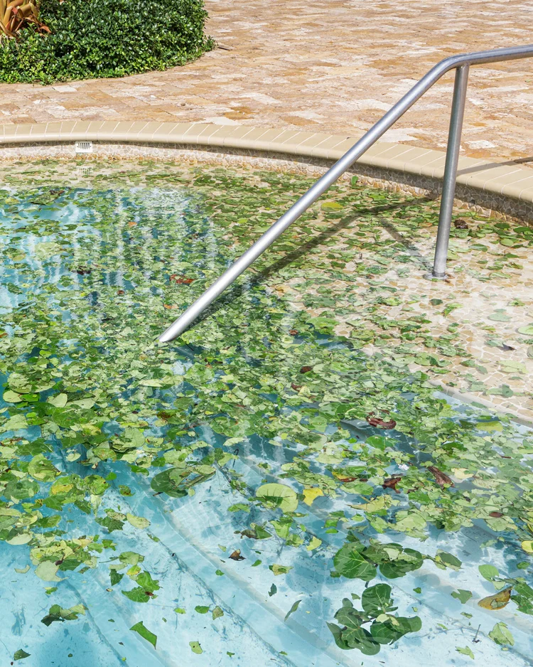 Pool after Hurricane 2017 Vertical.jpg