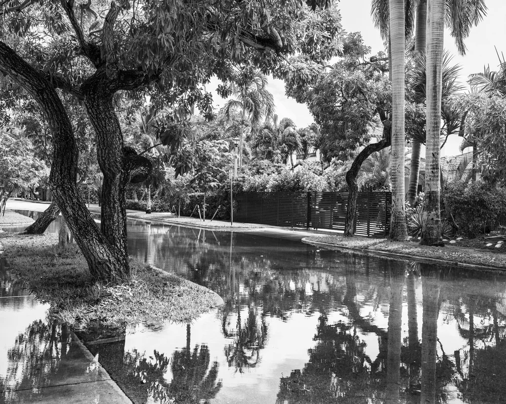 Miami Beach street at king tide Jefferson Ave.jpg