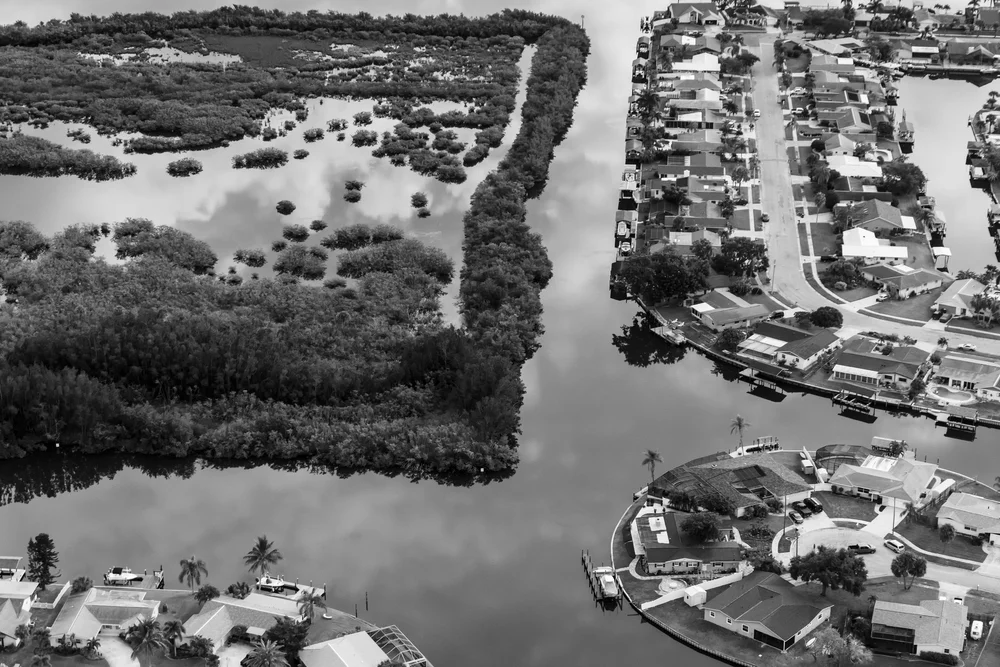 Waterfront Houses 2018.jpg