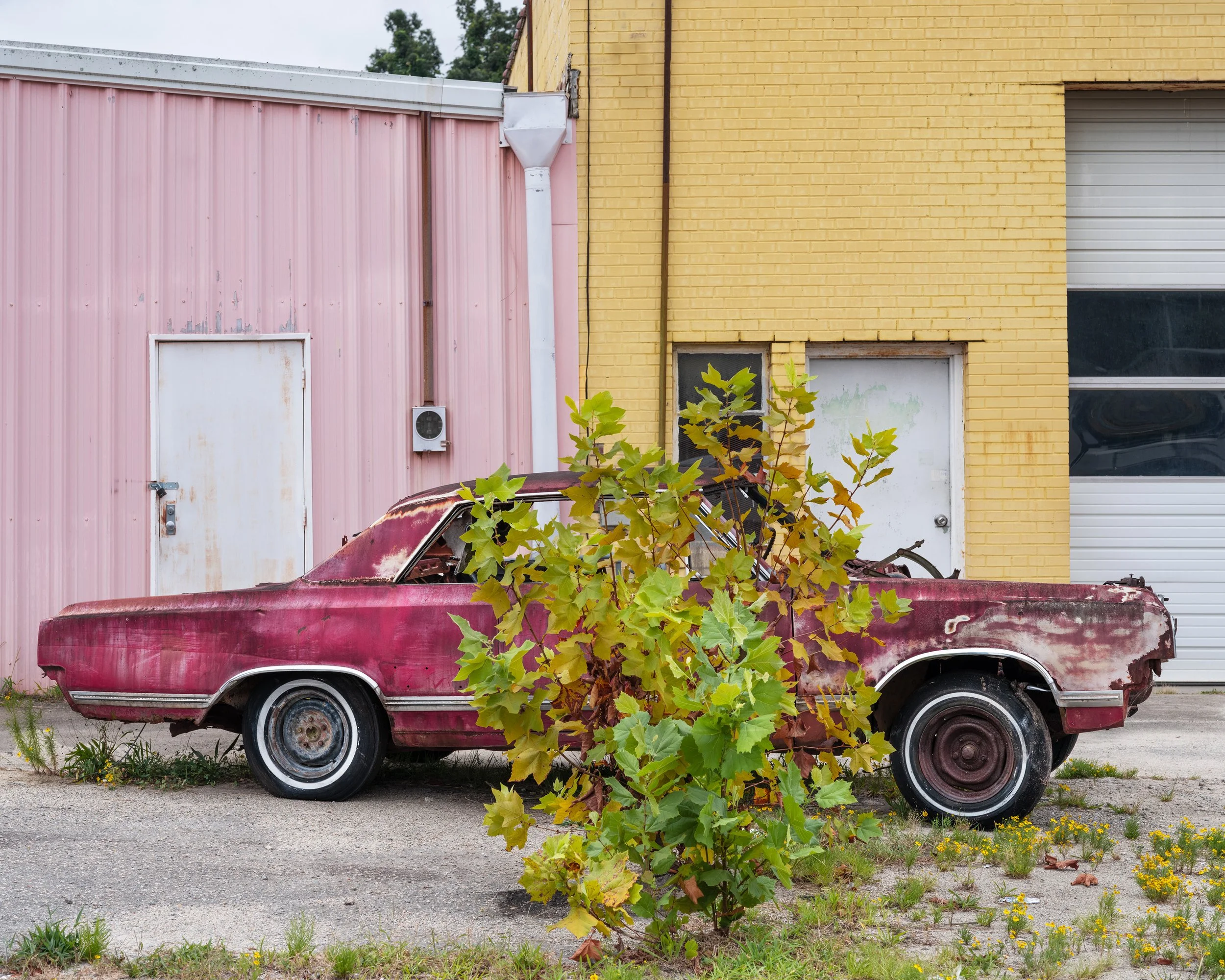 Old Car, Rocky Mount, NC, 2024.jpg