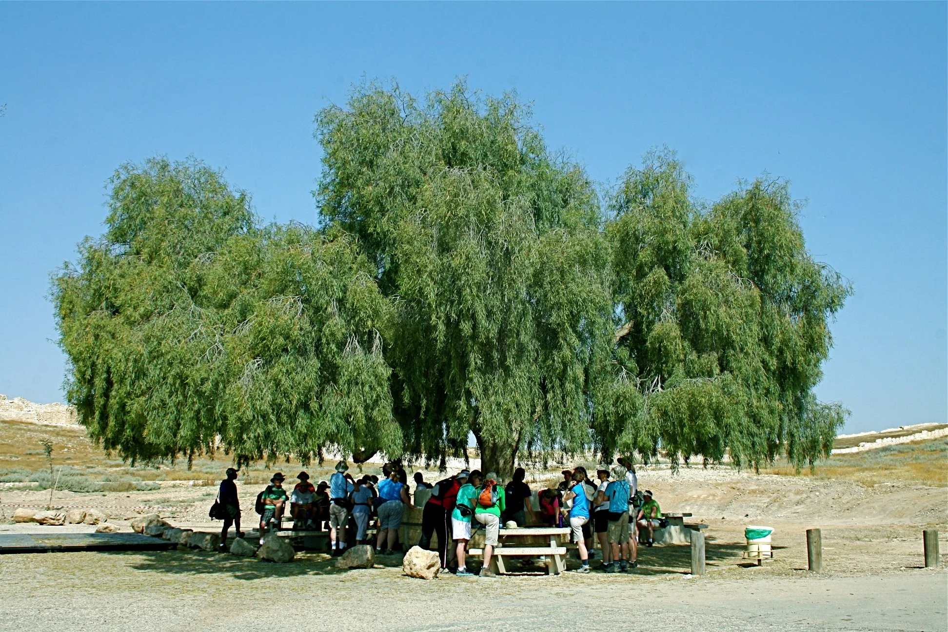 lunch arad.jpg