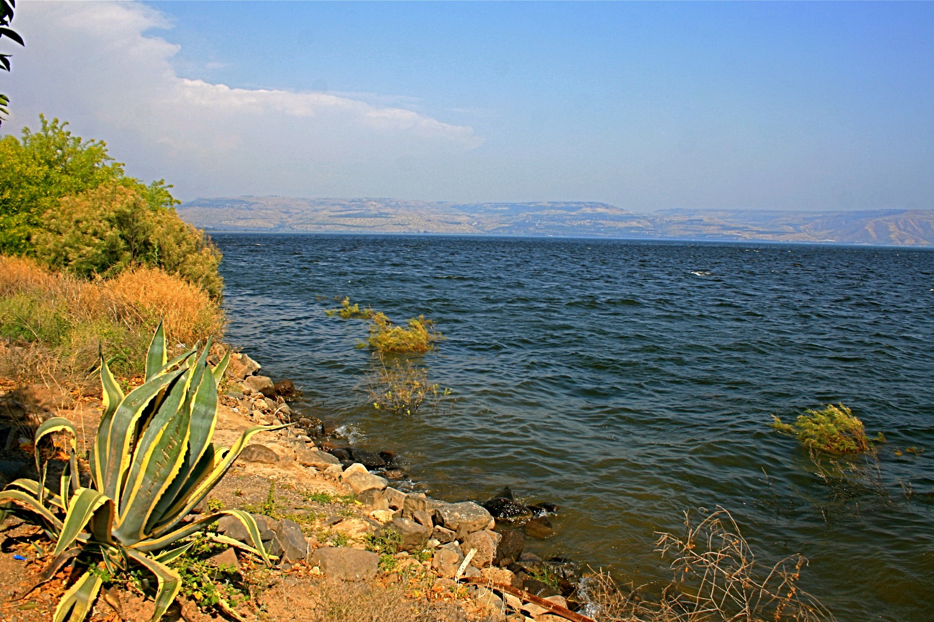 sea of galilee.jpg