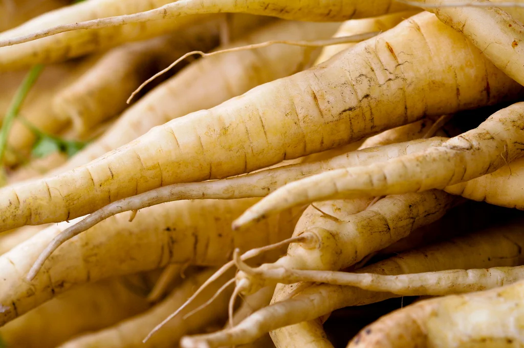 BETTblogs: Parsnips, a protest